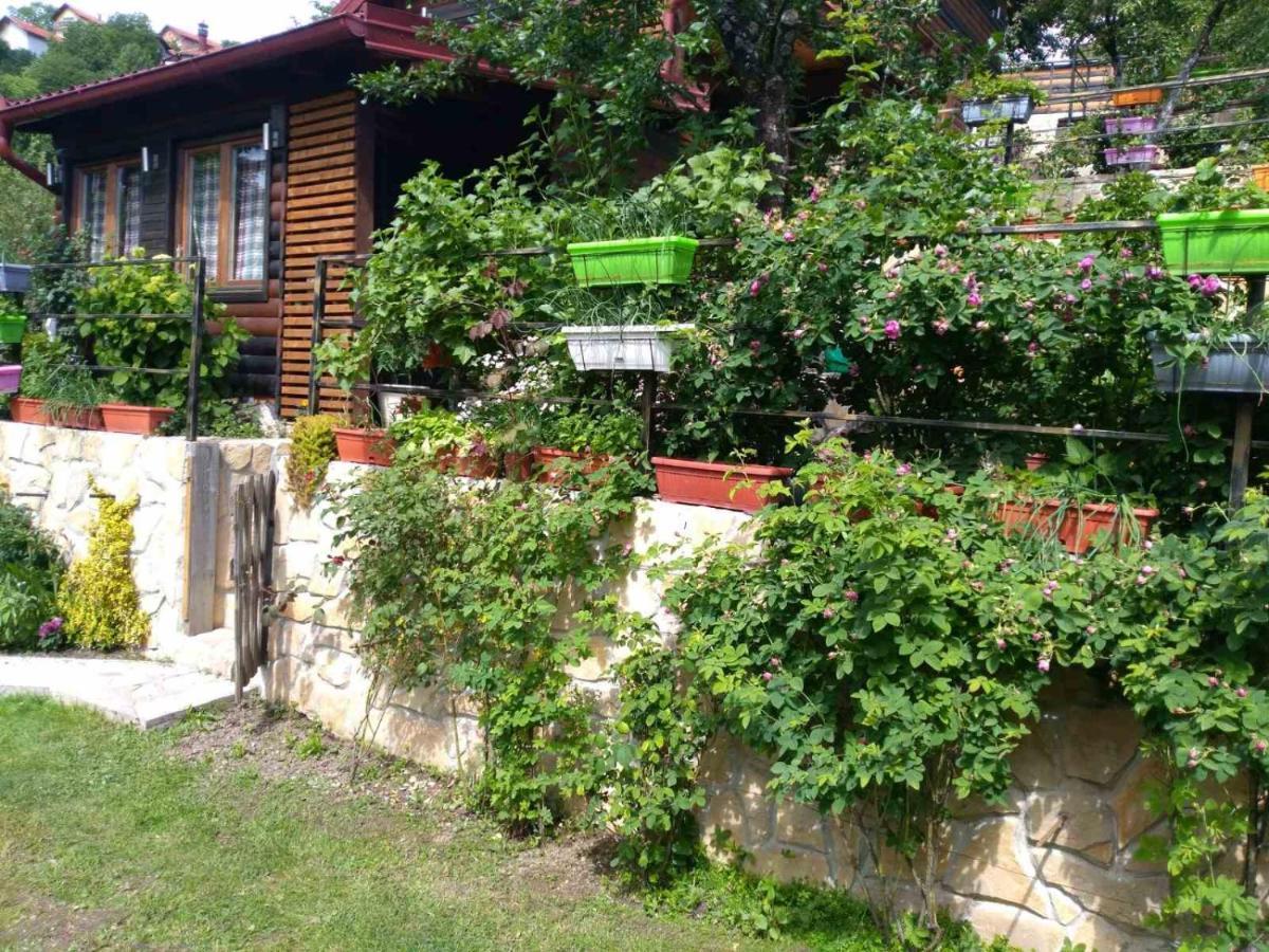 The Bungalows Saraievo Exterior foto