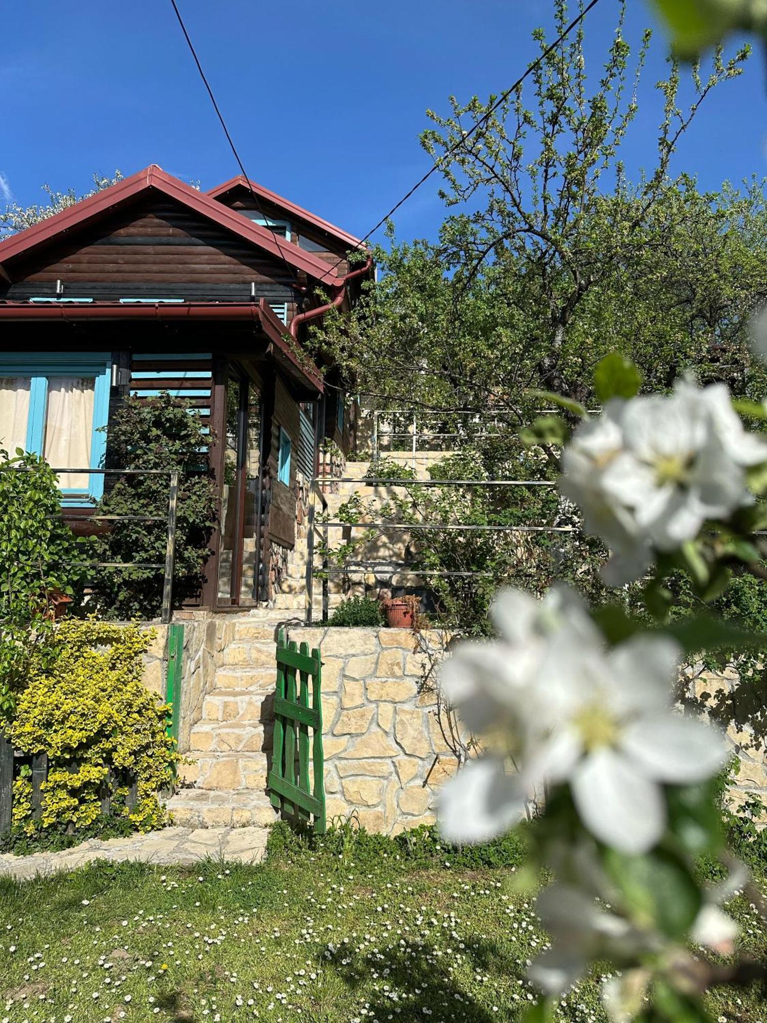 The Bungalows Saraievo Exterior foto